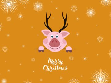 Christmas Card With Cute Pig