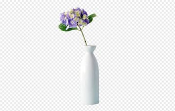 Hydrangea In The Vase PNG