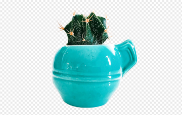 Cactus in bluepot PNG