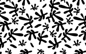 Black And White Natural Seamless Pattern