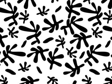 Black And White Natural Seamless Pattern